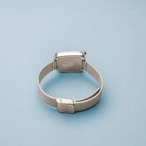 Bering Pebble Brushed Silver Ladies Watch
