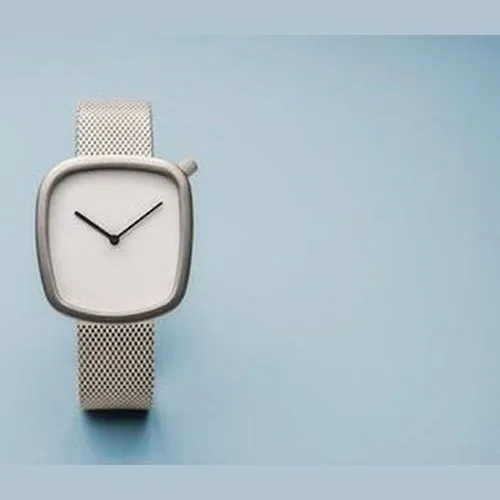 Bering Pebble Brushed Silver Ladies Watch